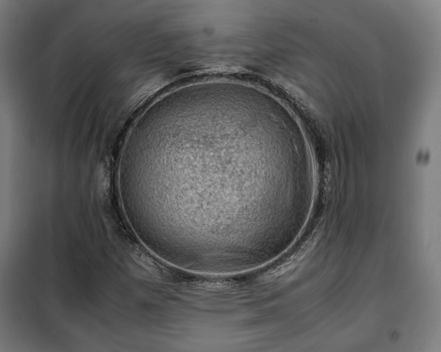 X0000102011257200807251300