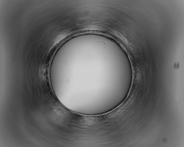 X0000102011258200807251300