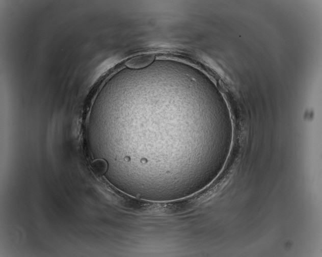 X0000102011259200807251300