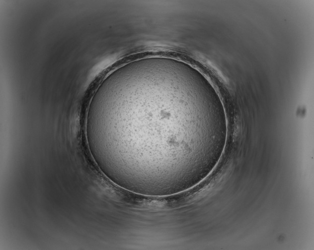 X0000102011261200807251300