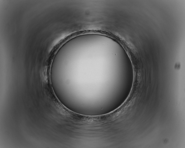 X0000102011262200807251300