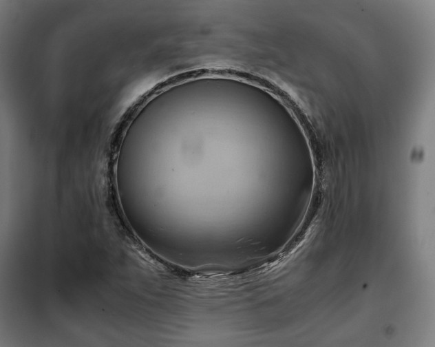 X0000102011263200807251300