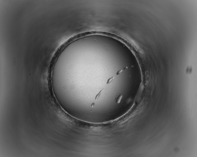 X0000102011264200807251300