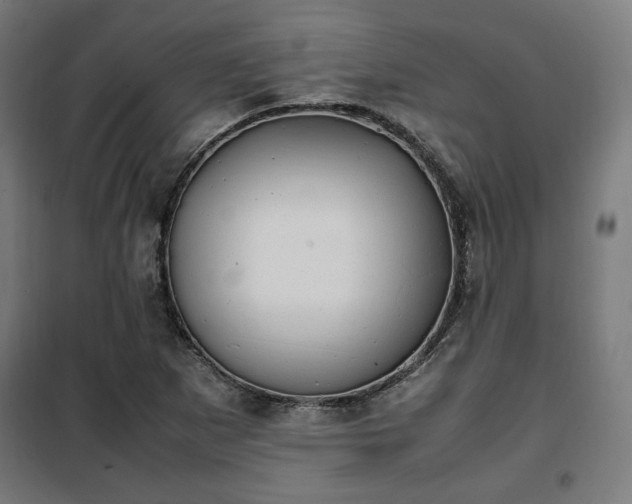 X0000102011265200807251300