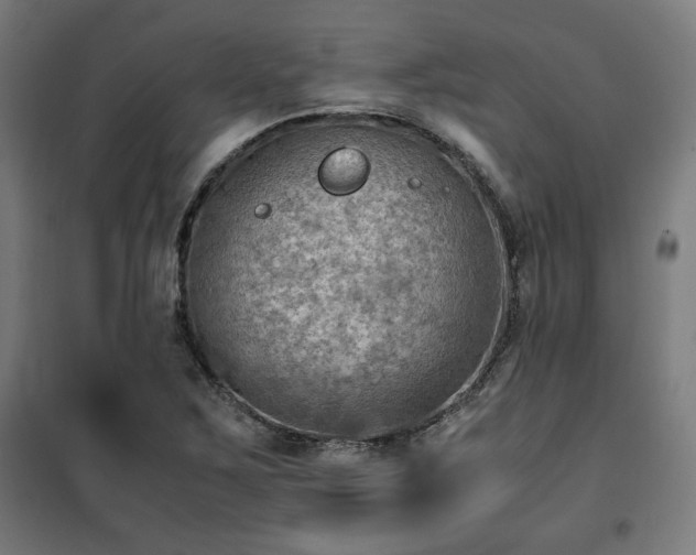 X0000102011267200807251300