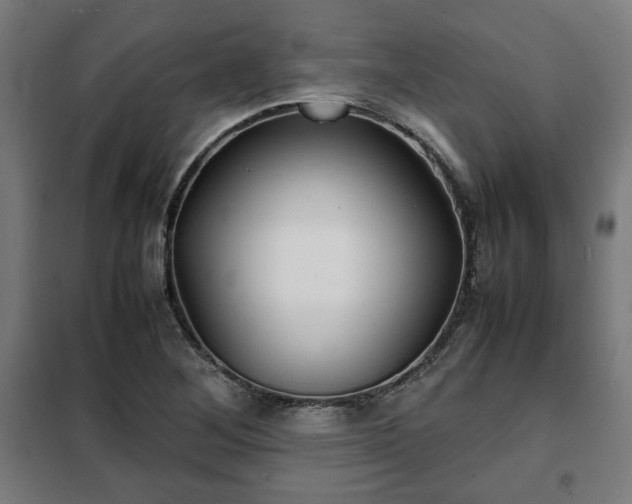 X0000102011268200807251300