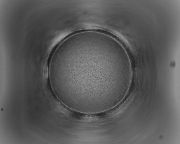 X0000102011269200807251300