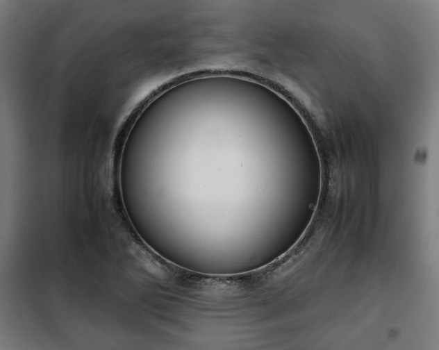 X0000102011270200807251300