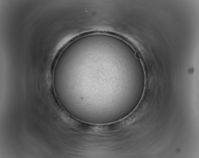 X0000102011271200807251300