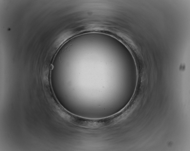X0000102011273200807251300