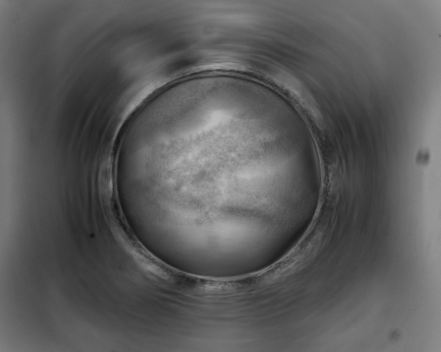 X0000102011274200807251300