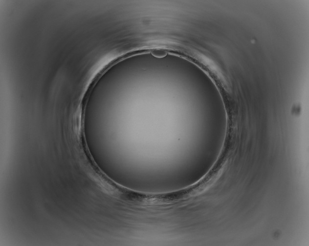 X0000102011275200807251300