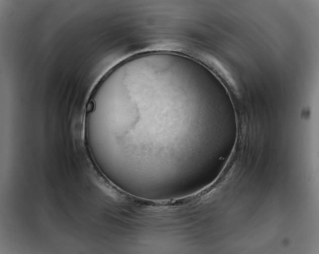 X0000102011276200807251300