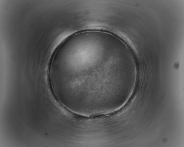 X0000102011277200807251300