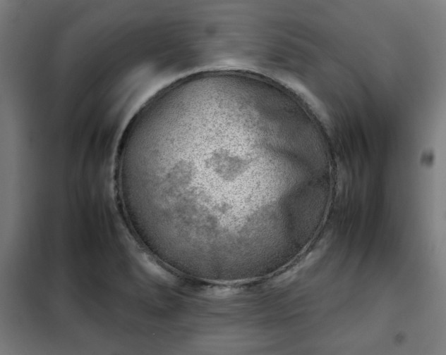 X0000102011278200807251300