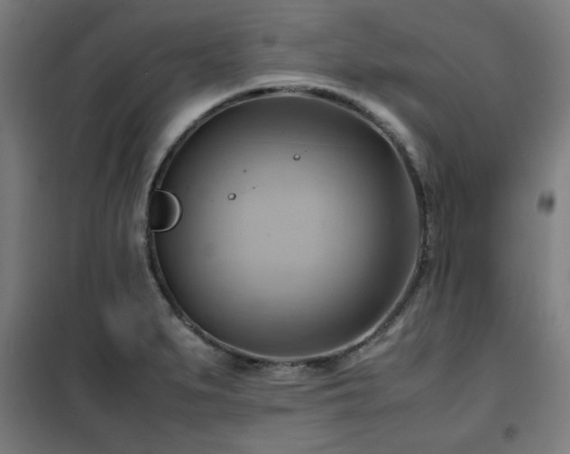 X0000102011279200807251300