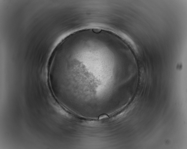 X0000102011280200807251300