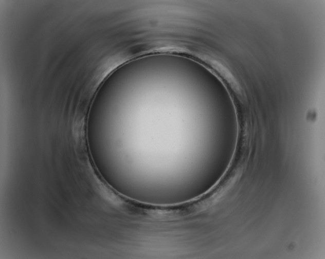 X0000102011281200807251300