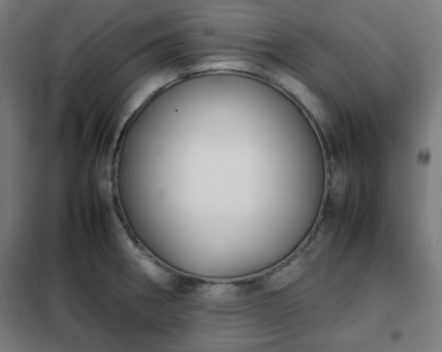 X0000102011282200807251300