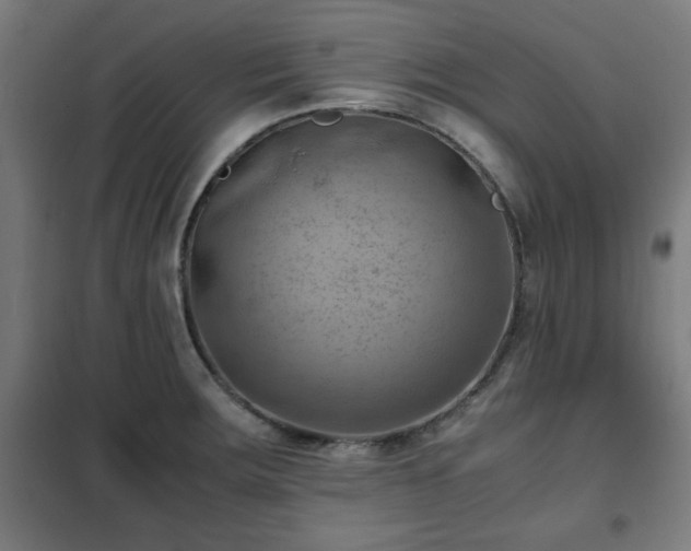 X0000102011283200807251300