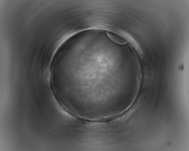 X0000102011284200807251300