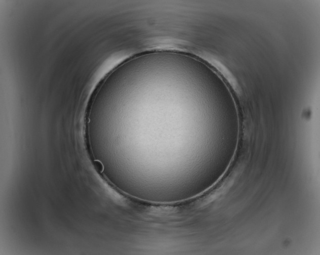 X0000102011285200807251300