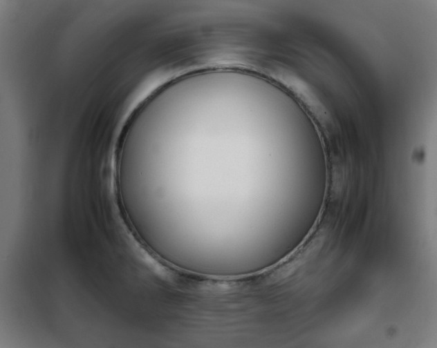 X0000102011286200807251300
