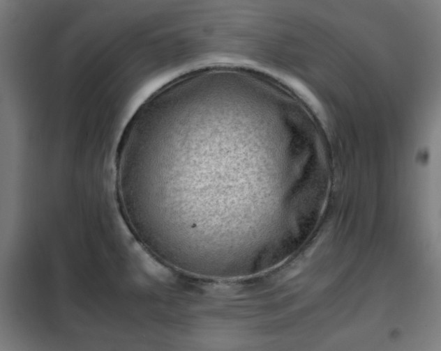 X0000102011287200807251300