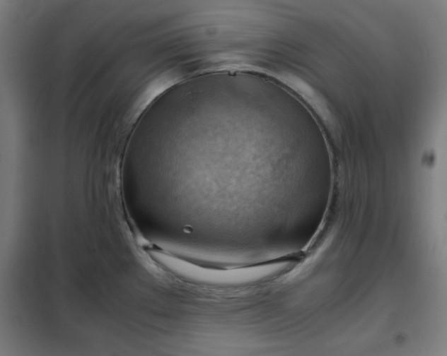 X0000102011289200807251300