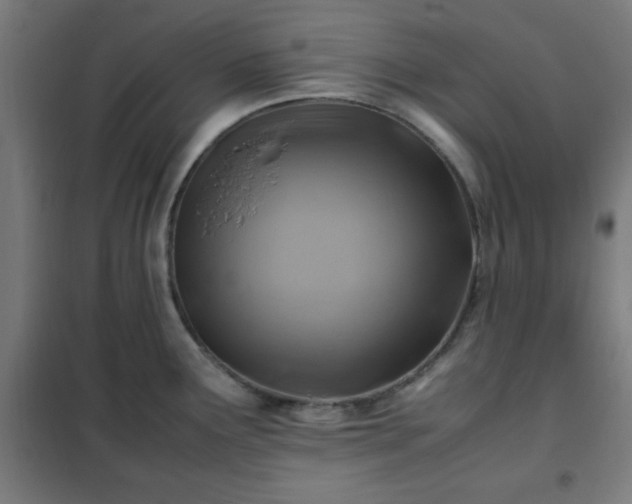 X0000102011291200807251300