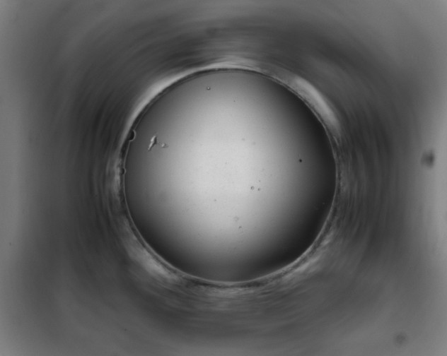 X0000102011292200807251300