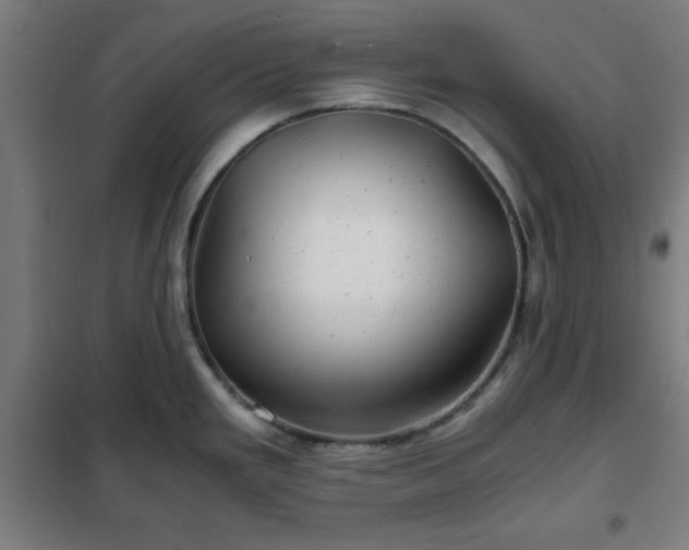 X0000102011293200807251300