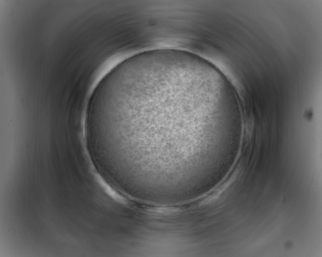 X0000102011294200807251259