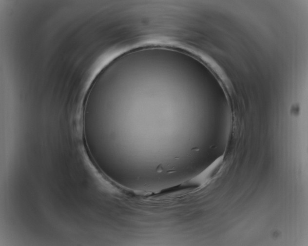 X0000102011295200807251259