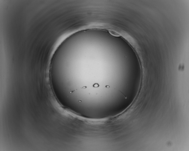 X0000102011296200807251259