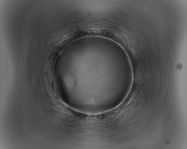 X0000102011297200807251258