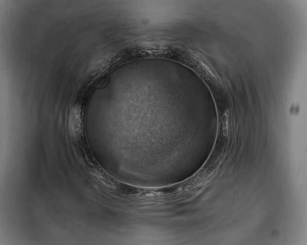 X0000102011298200807251258