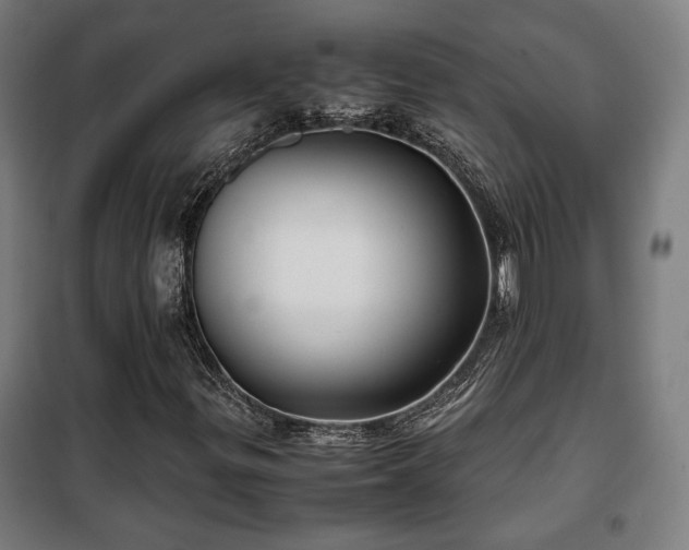 X0000102011299200807251258