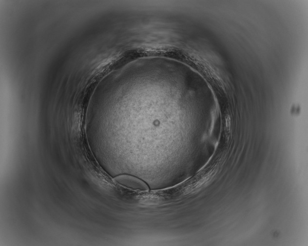 X0000102011300200807251259