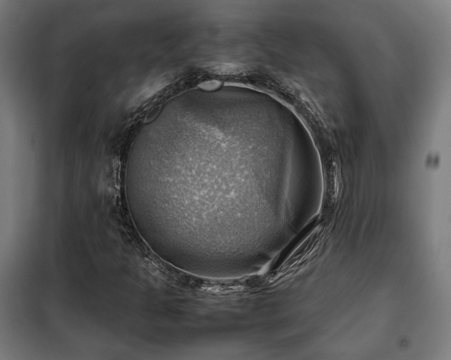 X0000102011301200807251259