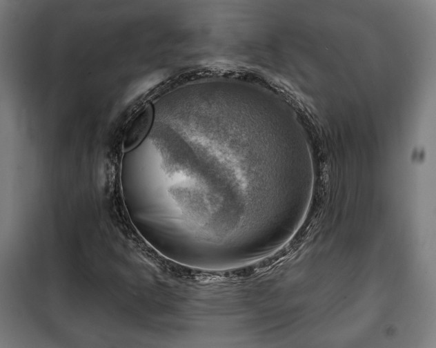 X0000102011302200807251259
