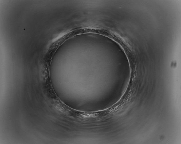 X0000102011303200807251259
