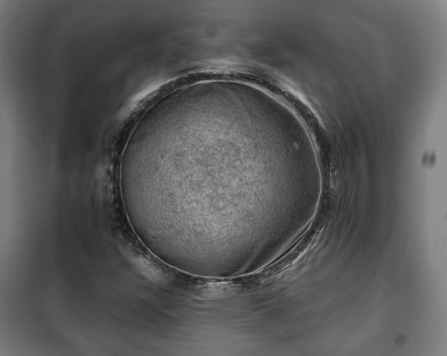 X0000102011304200807251259