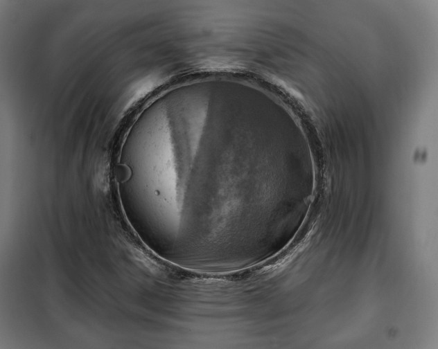X0000102011306200807251259