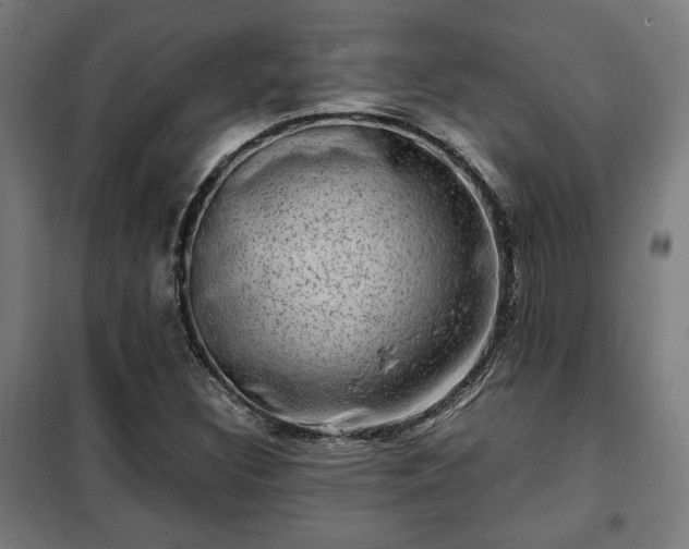 X0000102011308200807251259