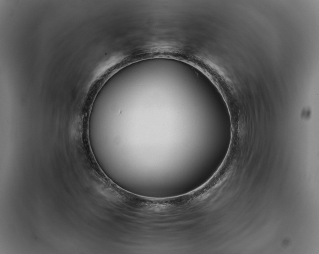 X0000102011309200807251259