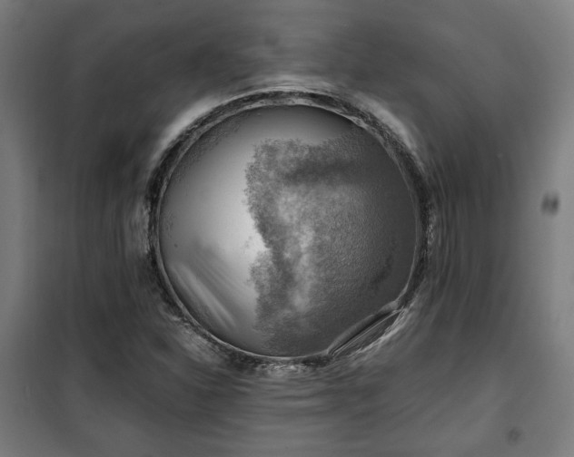 X0000102011310200807251259