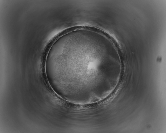 X0000102011311200807251259