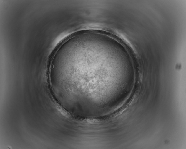 X0000102011312200807251259