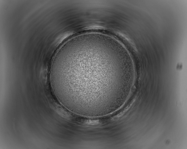 X0000102011313200807251259